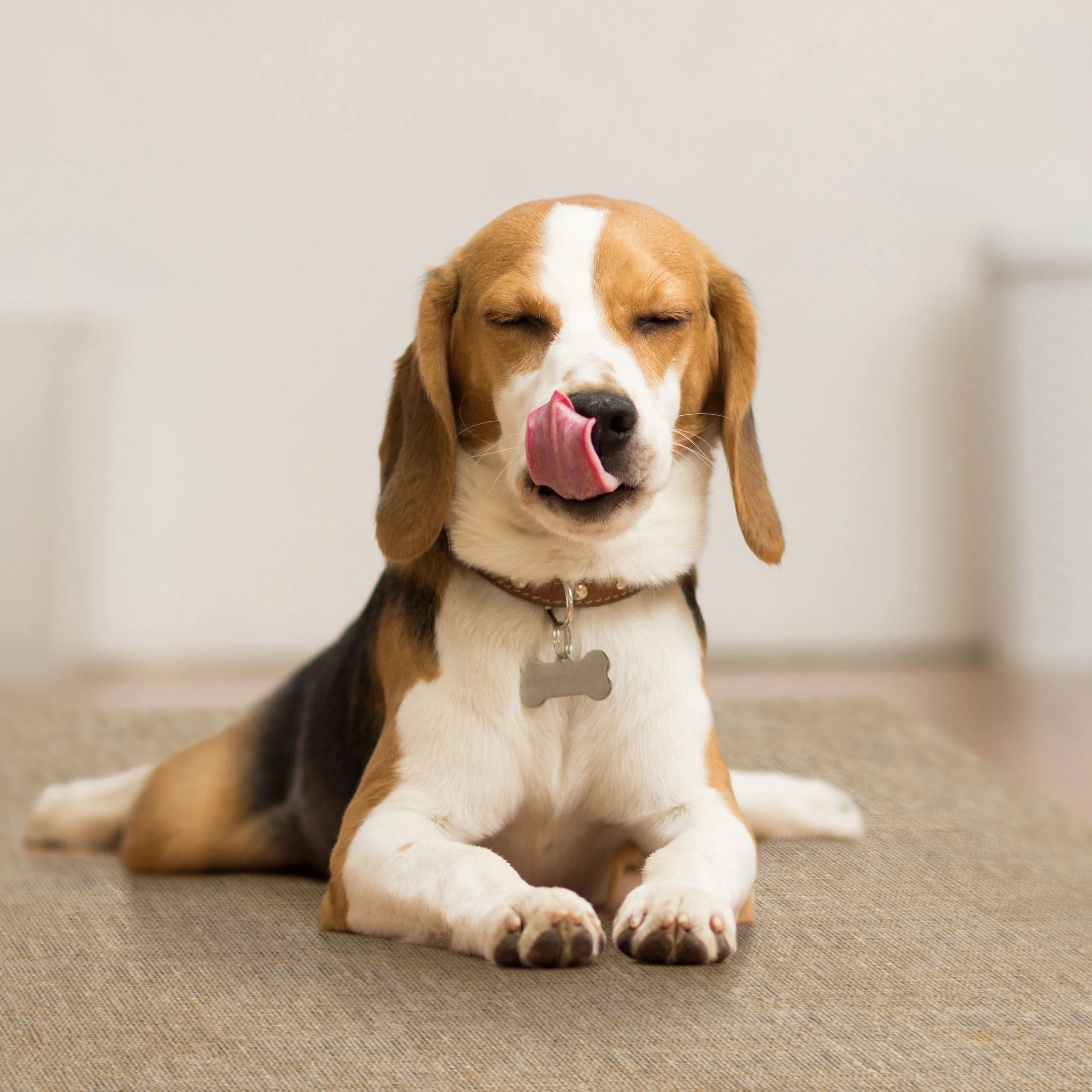 Jute Comfort Mat - Clearance - Image 3