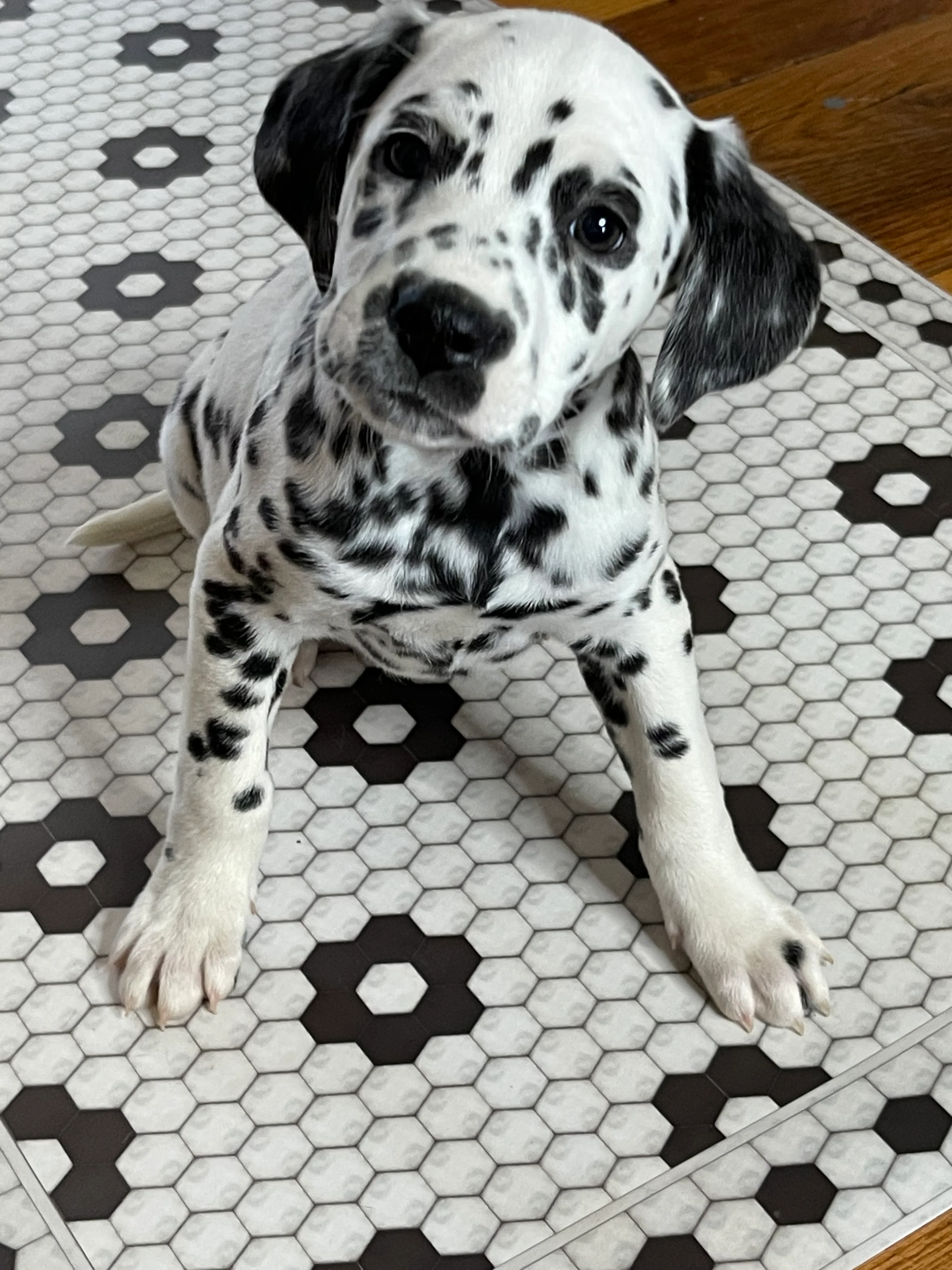 Zara Vinyl Mat - Image 4