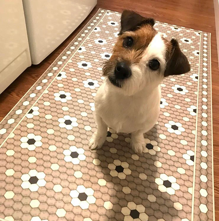 Zara Vinyl Mat - Image 7