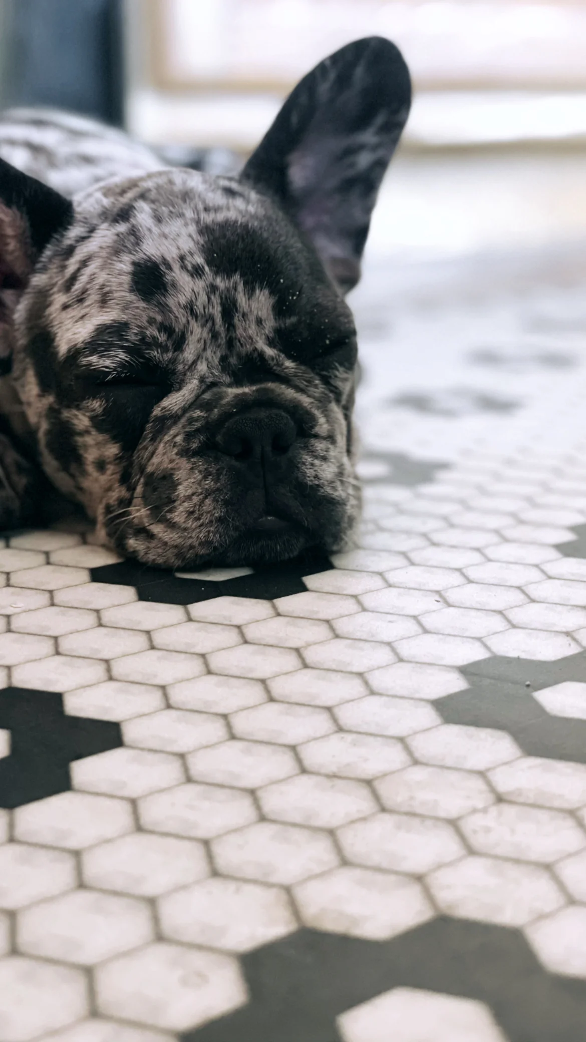 Zara Vinyl Mat - Image 9